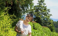 免费观看电视在线高胜算清